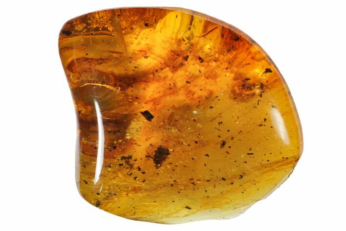 Polished Chiapas Amber ( g) - Mexico #114880